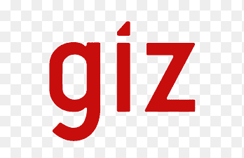 Giz