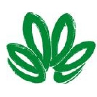 China Copper Mines Limited (CCM)